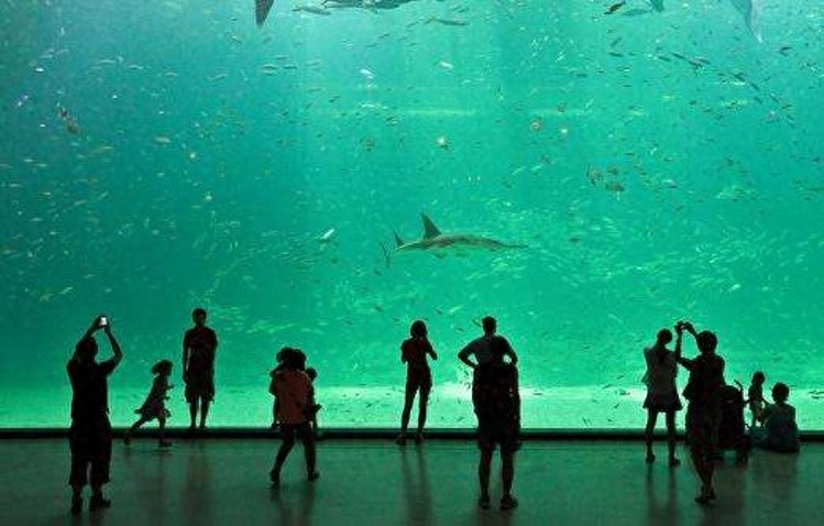 全球7大不可错过的深海游乐园，至少要带孩子去一个。