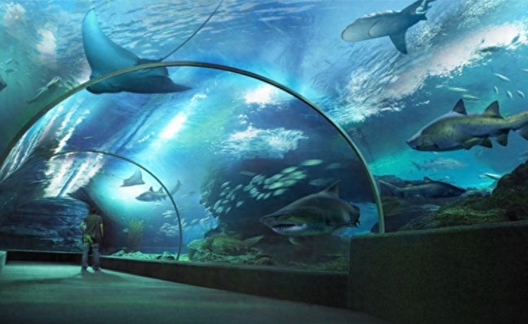 全球7大不可错过的深海游乐园，至少要带孩子去一个。