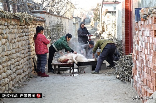 它是真正的东北名菜，菜名都饱含霸气