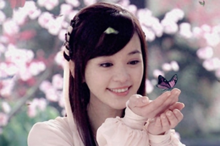 流星蝴蝶剑孙小蝶