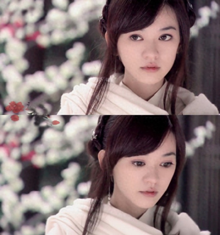 流星蝴蝶剑孙小蝶