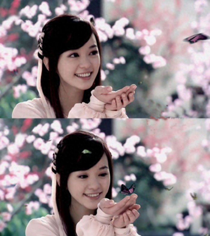 流星蝴蝶剑孙小蝶