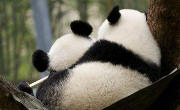 agreeable,agreeable的否定前缀是什么图2