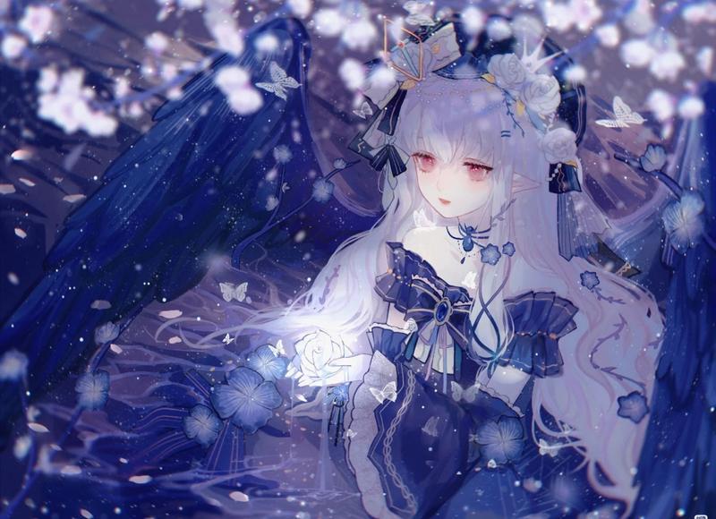 海陆张俊宁，海陆张峻宁带你一同探寻雪域高原的致富之秘