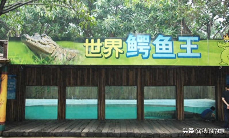 广州市长隆旅游度假区，占地面积 1万亩，门票价格 285-350元